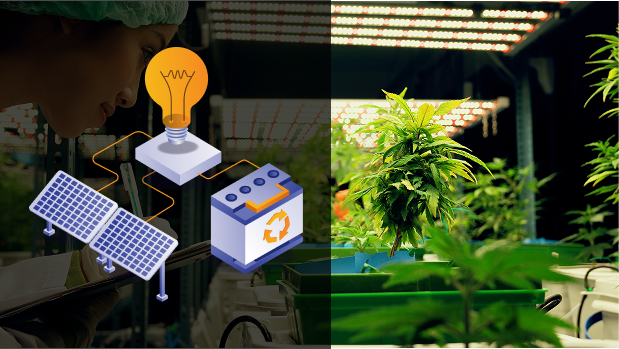 Real-world industrial experience over theoretical assumptions